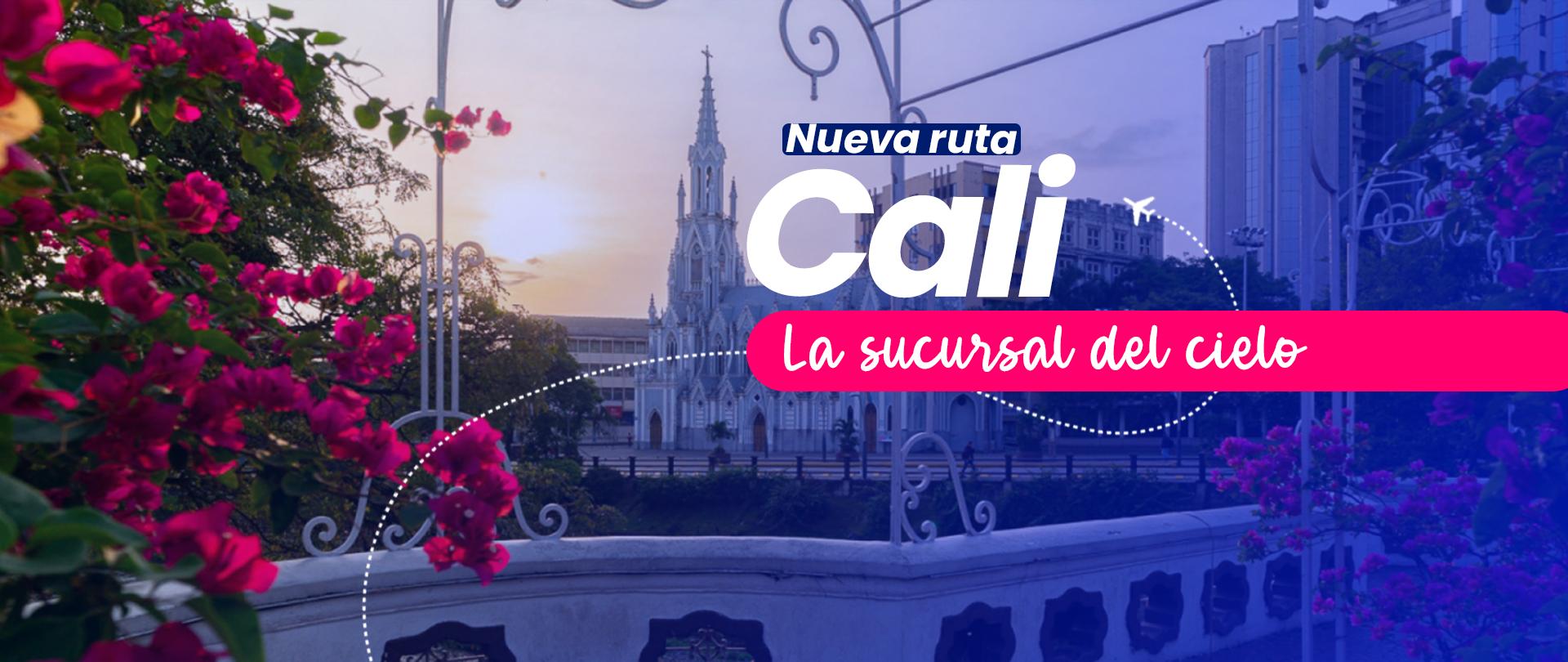 Banner Cali