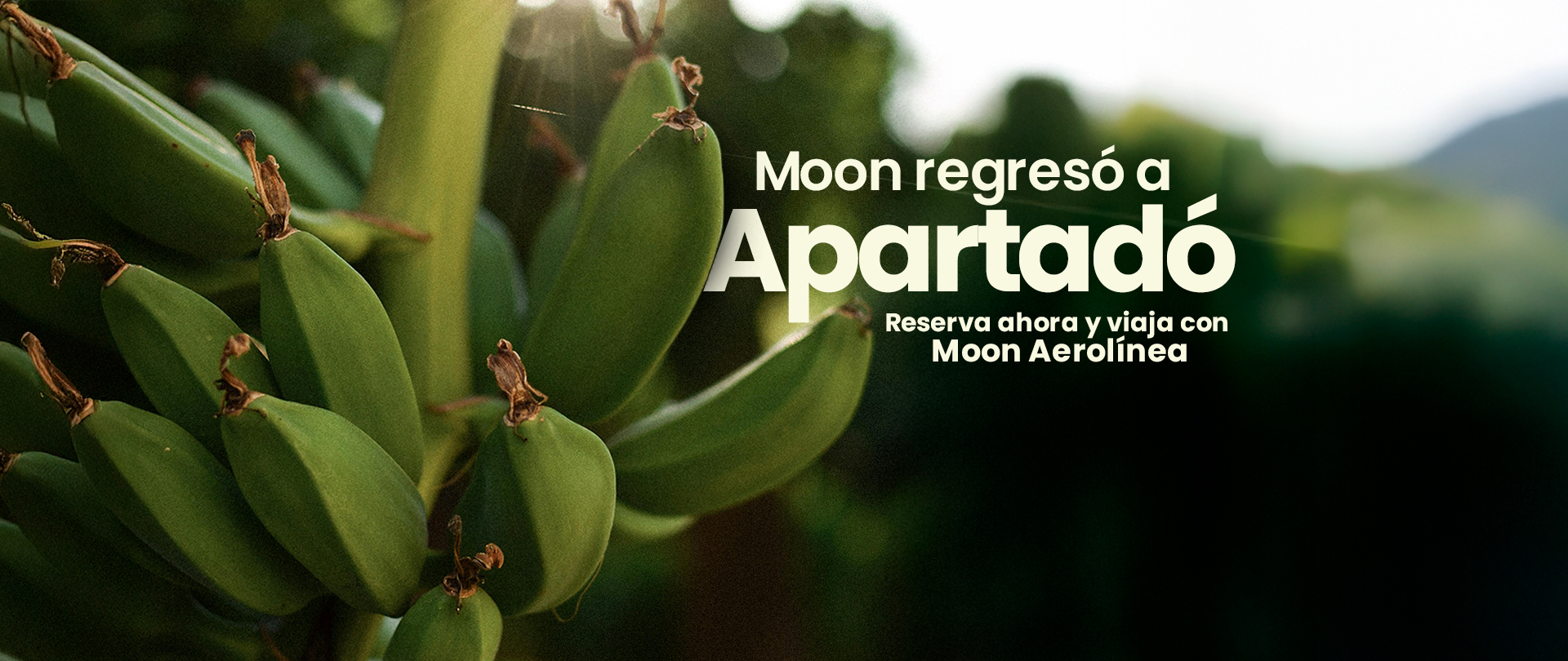 Apartadó nuevo 2026